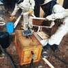 Bee Removal Service |Expert Wasp & Bee Removal | Schedule An Appointment thumb 4