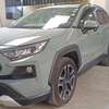 Toyota Rav4 Green 2020 thumb 1