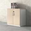 Office cabinets: Wooden Double Door Storage Cabinet thumb 0