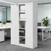 Office Cabinet : 2-Door Metallic Filing Office Cabinet thumb 0