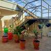 Studio along Kiambu Road Thindigua Tsavo sunset thumb 6