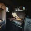 Toyota landcruiser thumb 0