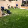 Landscaping & Gardening Services Kitisuru thumb 2