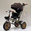 Lollipoly Kids Tricycle Brown Black with Canopy thumb 0