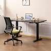 Adjustable Electric Office Desk thumb 0