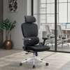 Office Chairs;Orthopedic Office Executive Chair In Kenyenya thumb 3