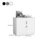File cabinet:  File Cabinet Metal File Cabinet with Lock thumb 1