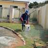 Pest Control and Fumigation Services at Dohnholm thumb 0