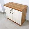 Wooden 2 Door Home Office Storage Cabinet thumb 0