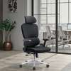 Executive Chairs : Ergonomic High back Office Chair thumb 3