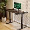 Office Desk; Ultraluxurious Premium Build Standing Desk thumb 5