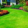 Nanny Agency & Nanny Services |  House Managers, Couples, Housekeepers, Chefs/Cooks, Estate Managers, Butlers, Chauffeurs/Drivers Nairobi. thumb 8