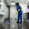 Reliable Property Maintenance Solutions in Muthaiga thumb 2