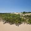 Malindi beachside plots — 50×100 ft. From KES 2M per plot thumb 6