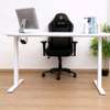 Height Adjustable Electric standing desk thumb 1