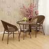 Modern Outdoor  2-Seater Rattan Set thumb 5