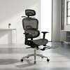 Orthopedic Mesh Office Chair with Footrest thumb 0