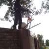 Premium Estate & Home Maintenance in Karen & Runda thumb 1