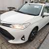 Toyota axio white 2019 2wd thumb 6