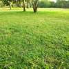 LAND FOR SALE ON THE CREEK. thumb 6