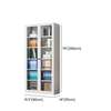 Office Cabinet:  Full 2-Doors Filing Glass Office Cabinet thumb 2