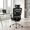 Executive Orthopedic Mesh Office Chair thumb 4
