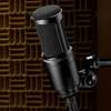 Audio-Technica AT2020 Condenser Microphone thumb 3