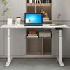 1200mm Standing Electric Table for Office thumb 0
