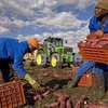 Farm Workers & Dairy Staff for Hire in Kiambu.Fast & Trusted thumb 4