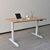 Standing Desks : Adjustable Electric Standing Desk thumb 2