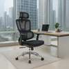 Health Focused Chair: Durable Orthopedic Office Chair thumb 0