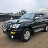 Land Cruiser 100 series thumb 1
