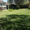 Lovely 5 BR House plus Dsq in Karen thumb 7