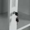 Half Glass Metallic Office Cabinet thumb 6