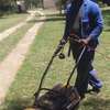 Professional Gardeners for Hire in Ruiru, Juja & Thika thumb 0