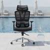 Lumbar Support Mesh Ergonomic Swivel Chair thumb 0