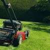 Professional Gardeners for Hire in Ruiru Nairobi thumb 3