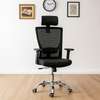Ergonomic Home Office Chair thumb 0