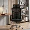 Executive Chairs : High-back Executive Office Chair thumb 5