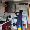 Pest Control and Fumigation Services Mwihoko thumb 4