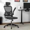 Orthopedic Seat Chair with Flip Arms thumb 1