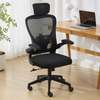Ergonomic Home Office Desk chair thumb 0