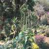4 Bed House with En Suite at Old Muthaiga thumb 3