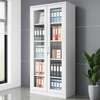 2 Door Full Glass Display Office Cabinet thumb 8