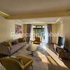 Furnished 3 Bed Apartment with En Suite in Spring Valley thumb 2