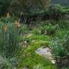 Hire Skilled Gardeners in Kiambu Today | Call Now Today thumb 8