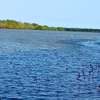 LAND FOR SALE ON THE CREEK. thumb 1