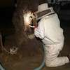 Bee Removal Service |Expert Wasp & Bee Removal | Schedule An Appointment thumb 1