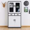 Office Cabinets;2 Doors Office Storage Cabinet  In Tabaka thumb 5