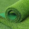 Synthetic Grass Carpet thumb 11